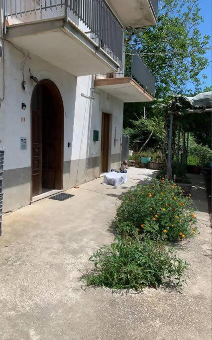 Pianillo Wonder House On The Amalfi Coastヴィラ エクステリア 写真